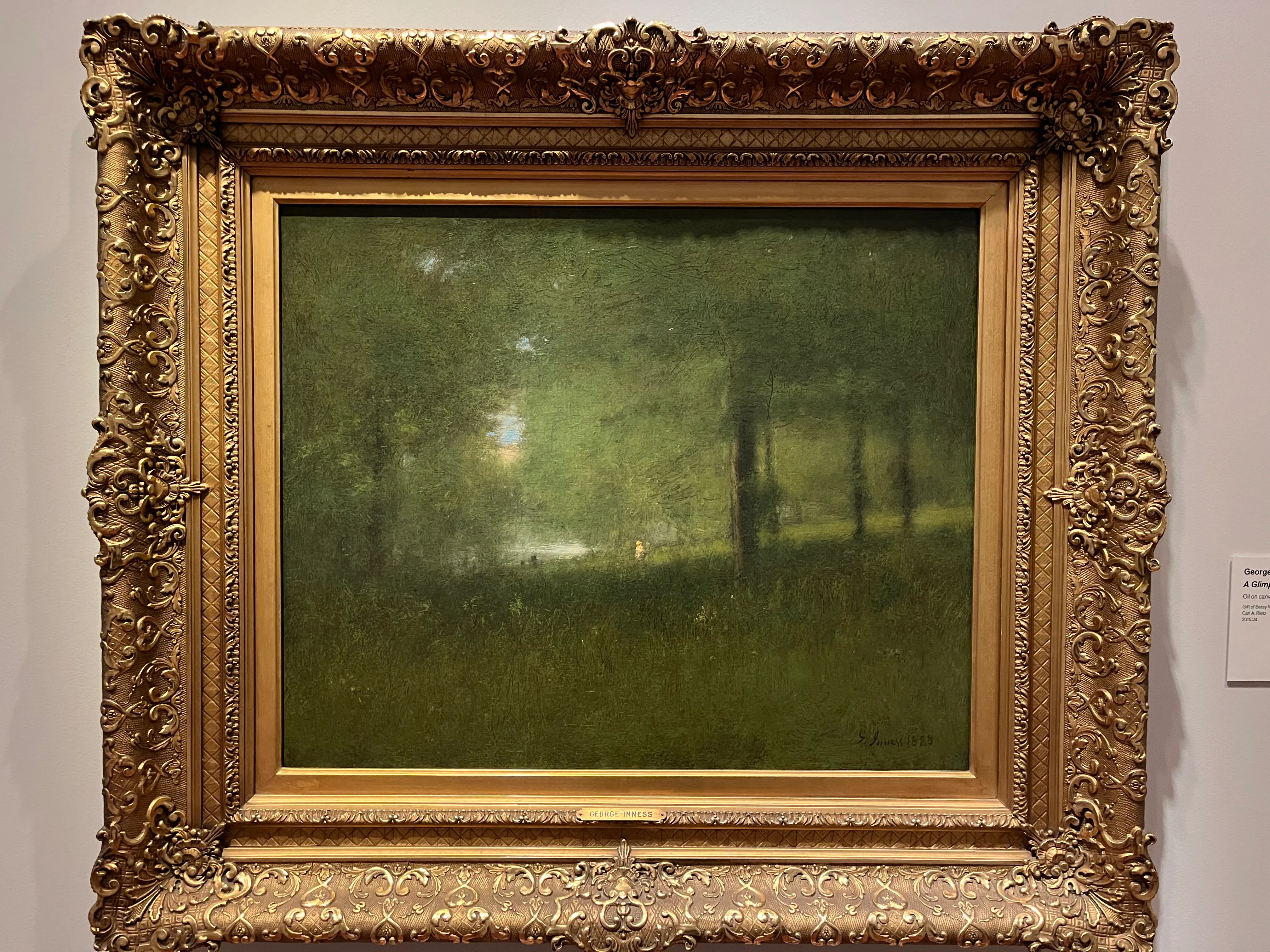 A Glimpse of the Lake