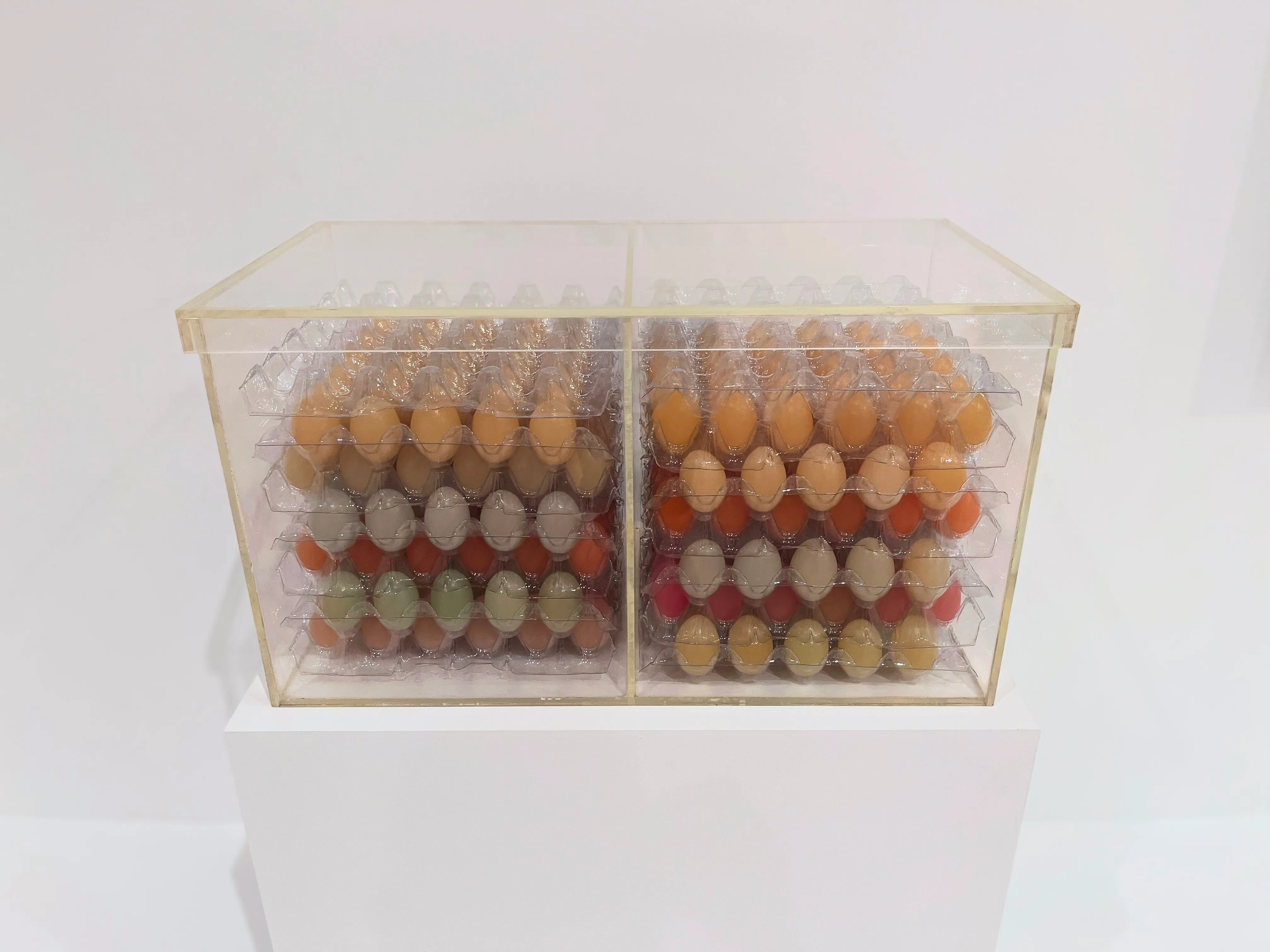 Case of Eggs (with Rainbow Wax Eggs)