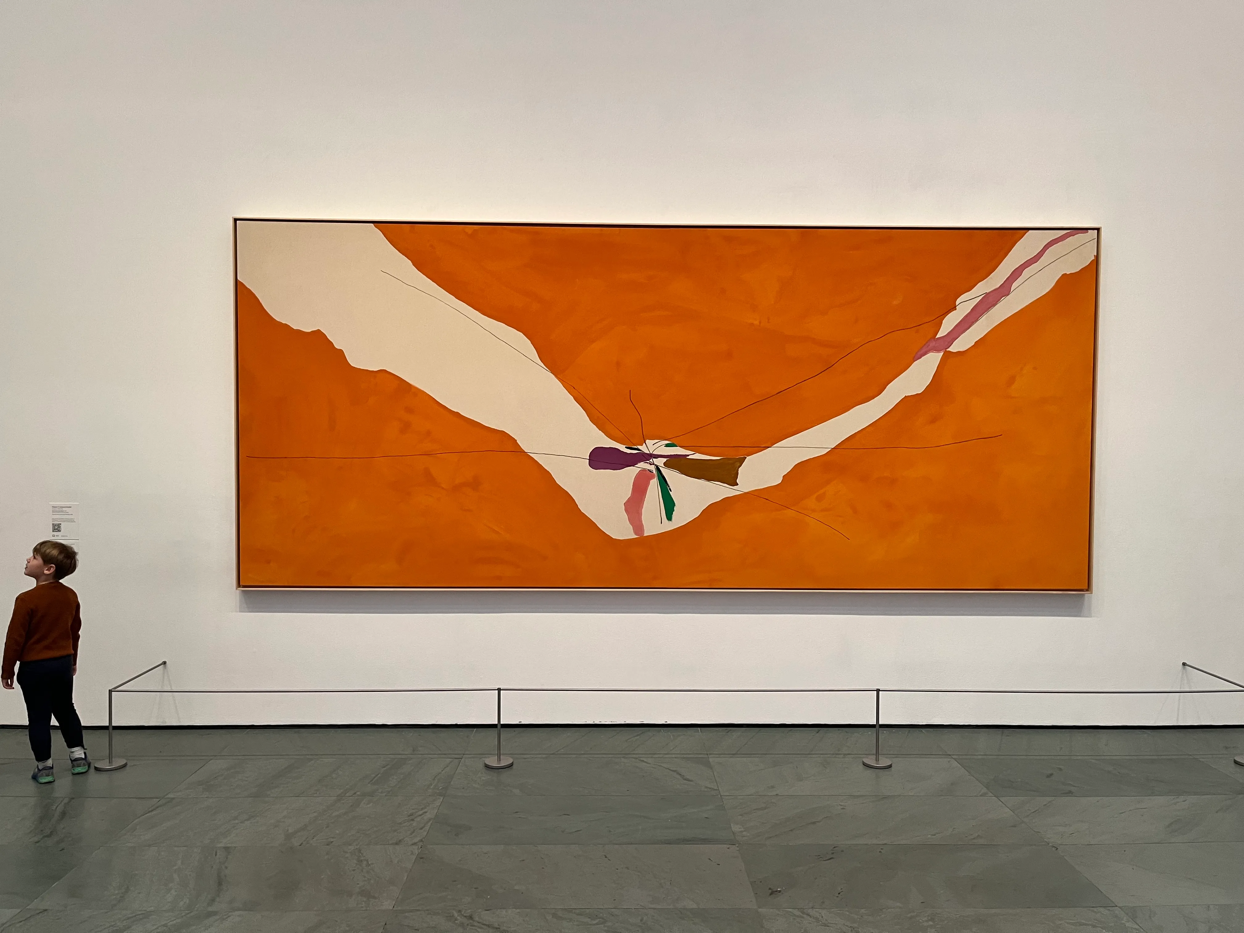 Chairman of the Board