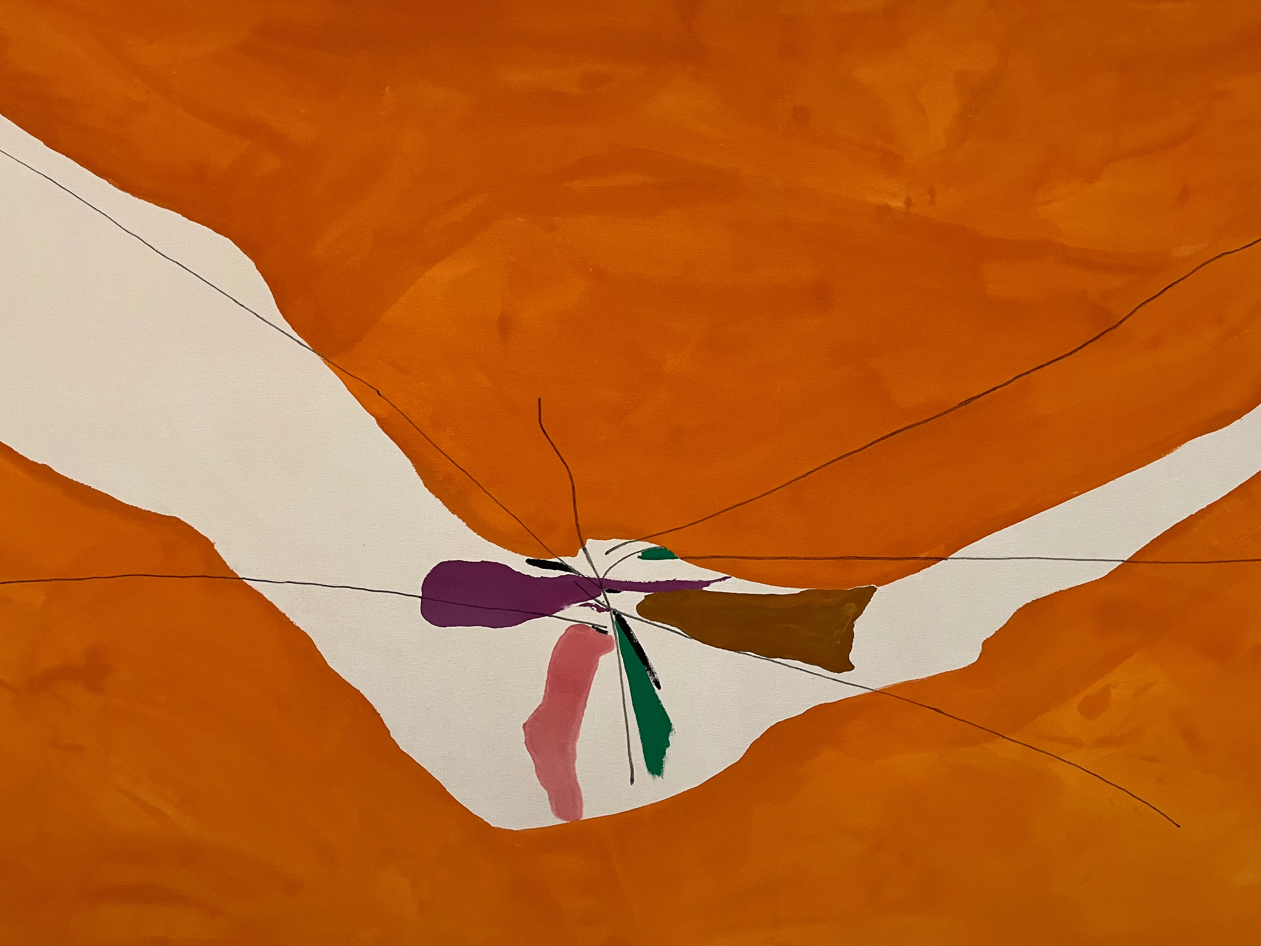 Chairman of the Board