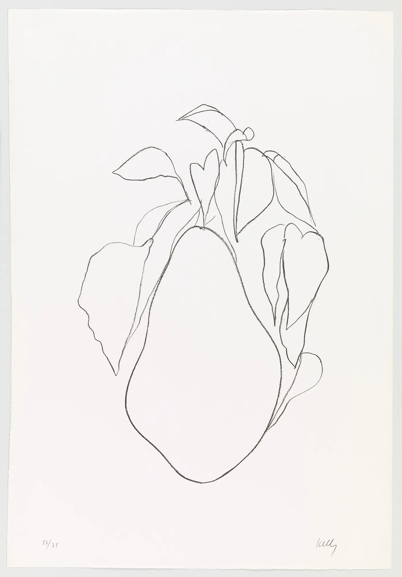 Suite of Plant Lithographs: Pear
