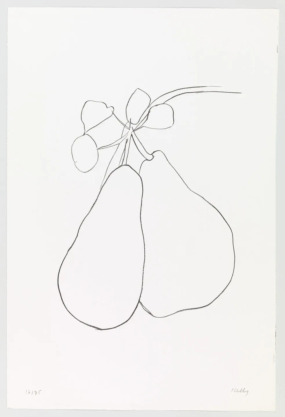 Suite of Plant Lithographs: Pear