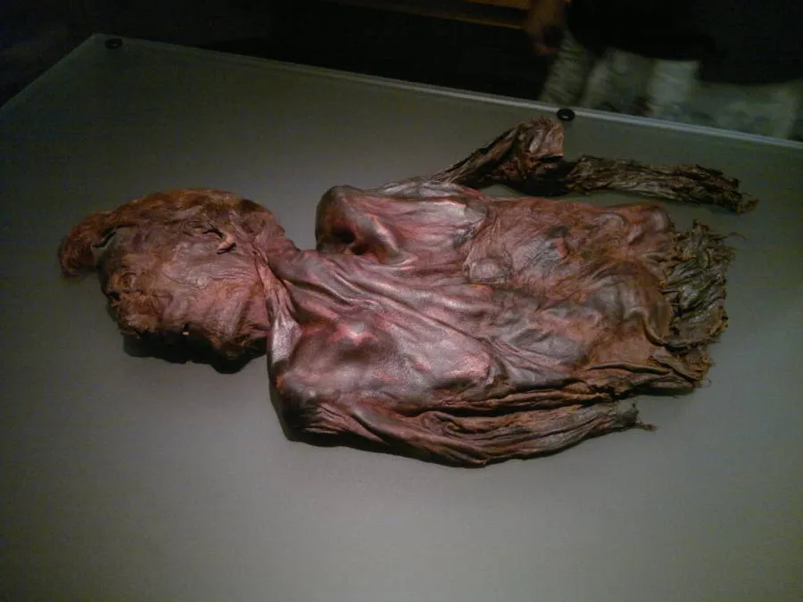 Bog Bodies