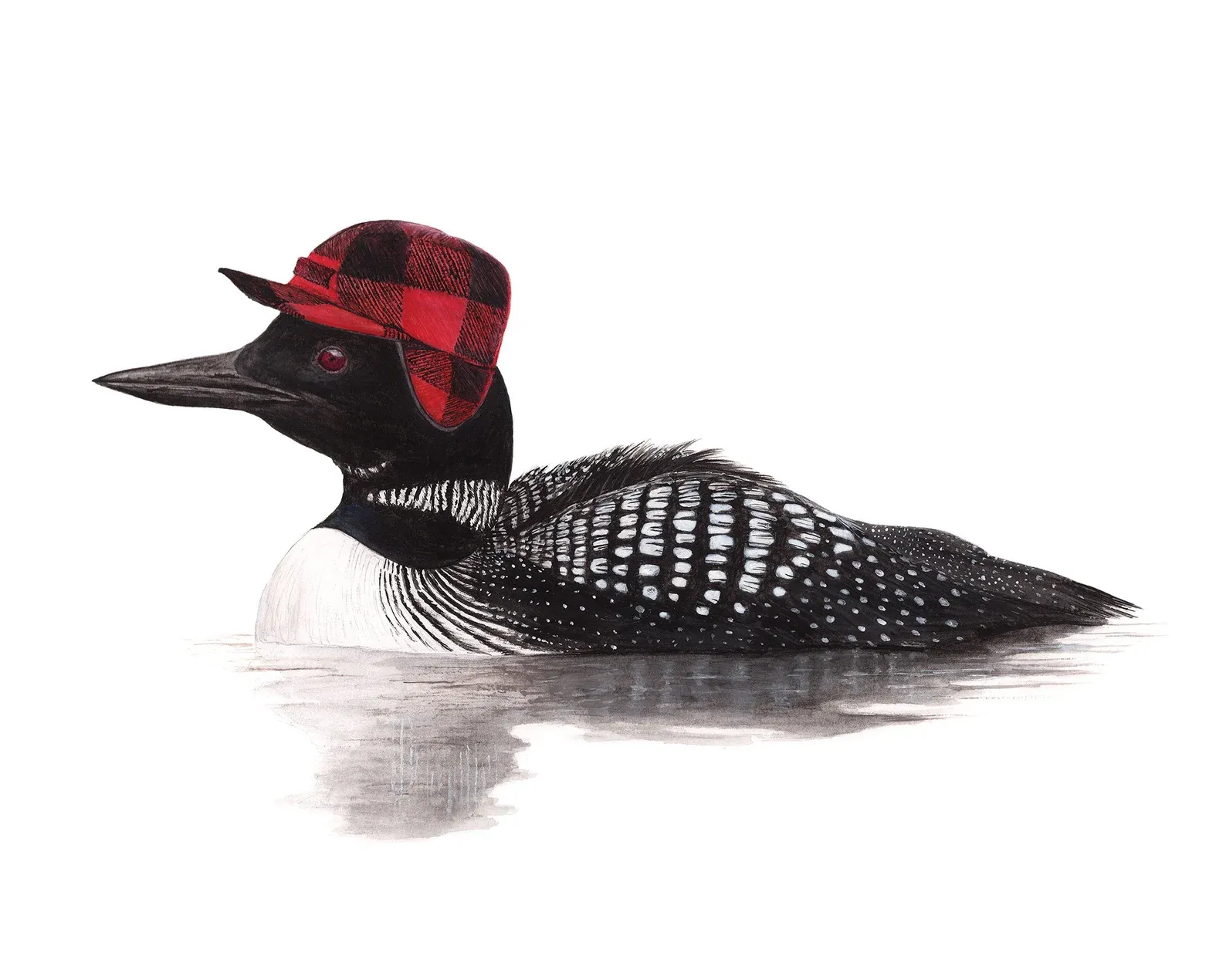 Drawing by Matt Decker - No.24 - "Common Loon with Flap Cap"
