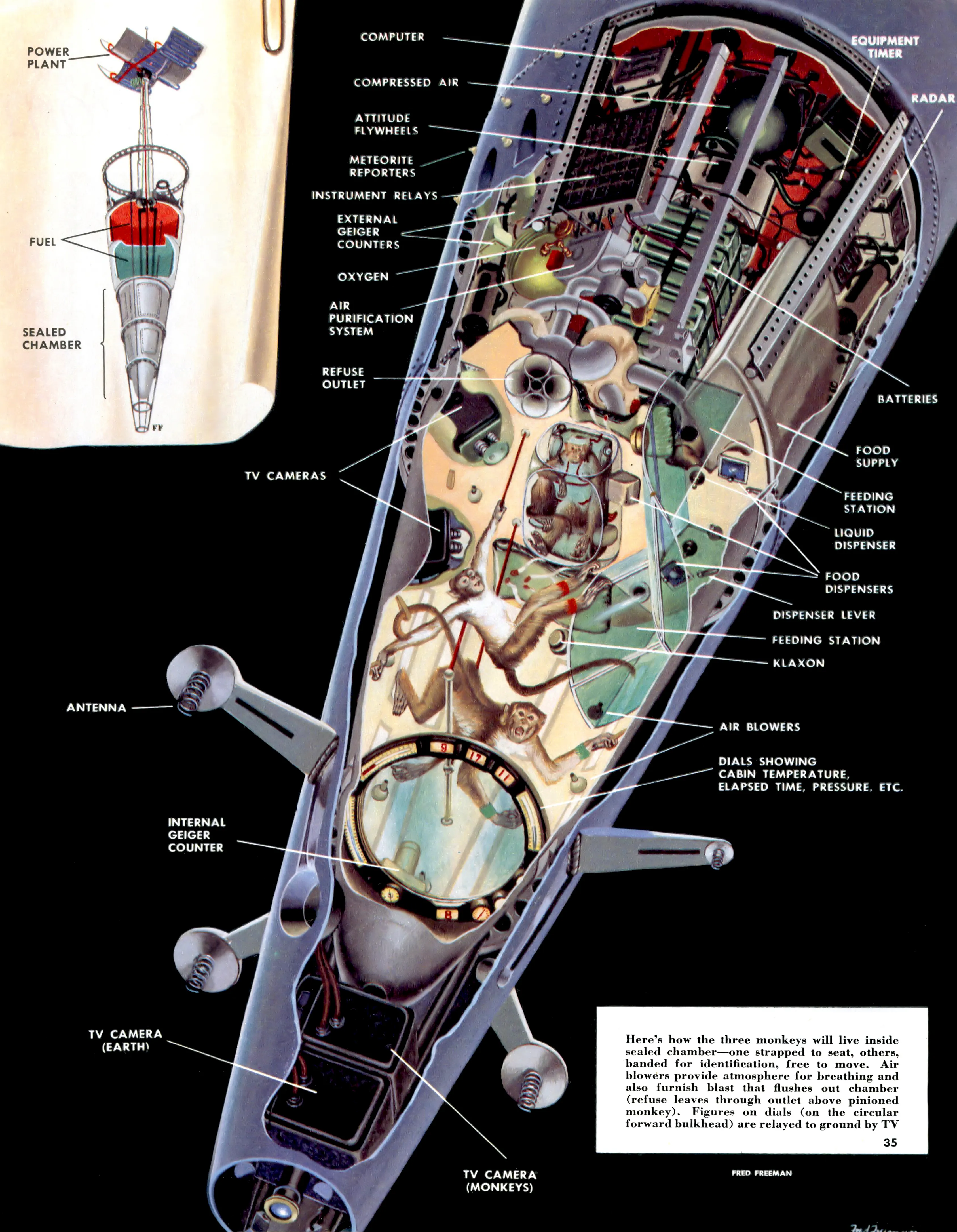 An illustration by Fred Freeman