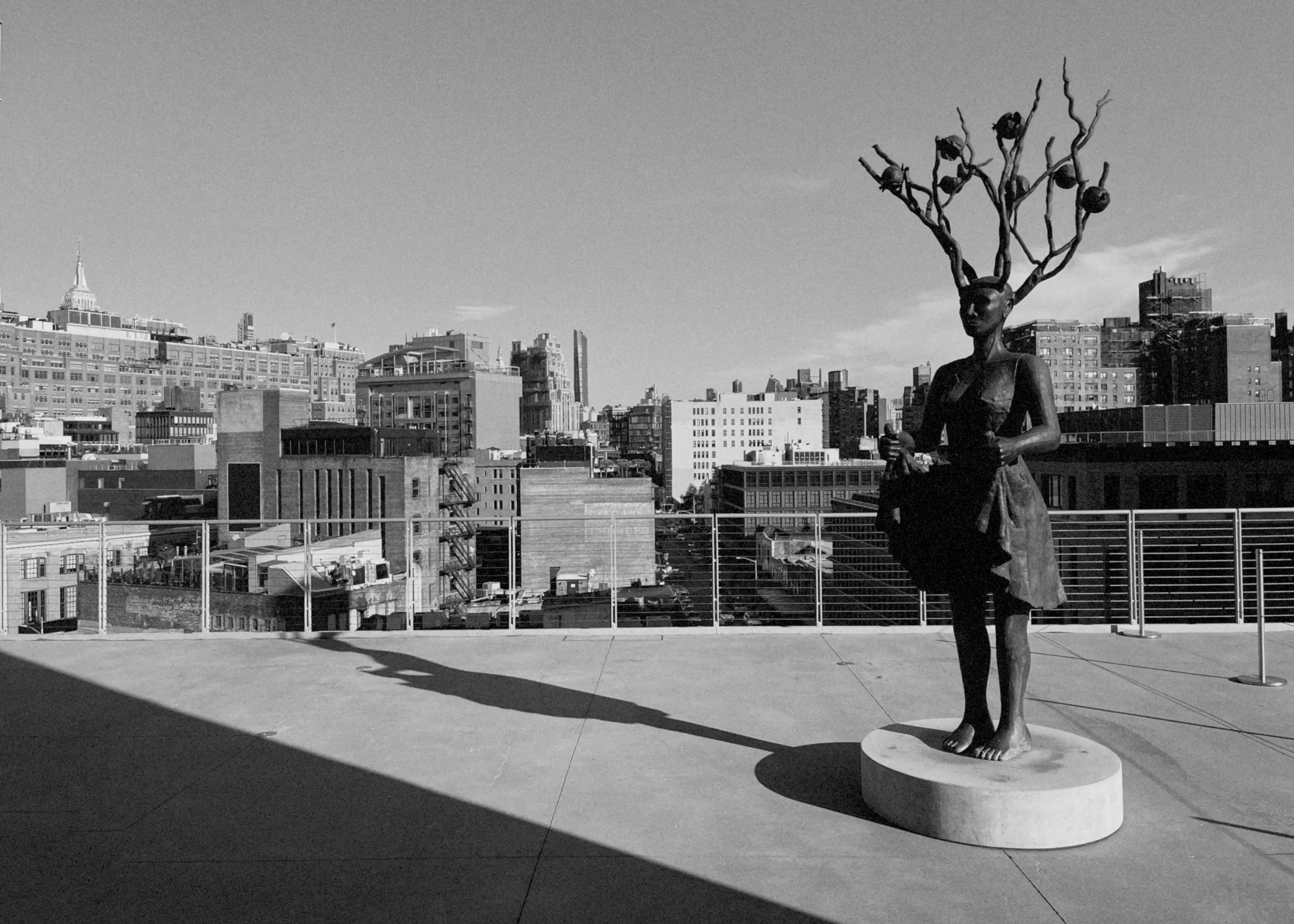 Forest Goddess at the Whitney
