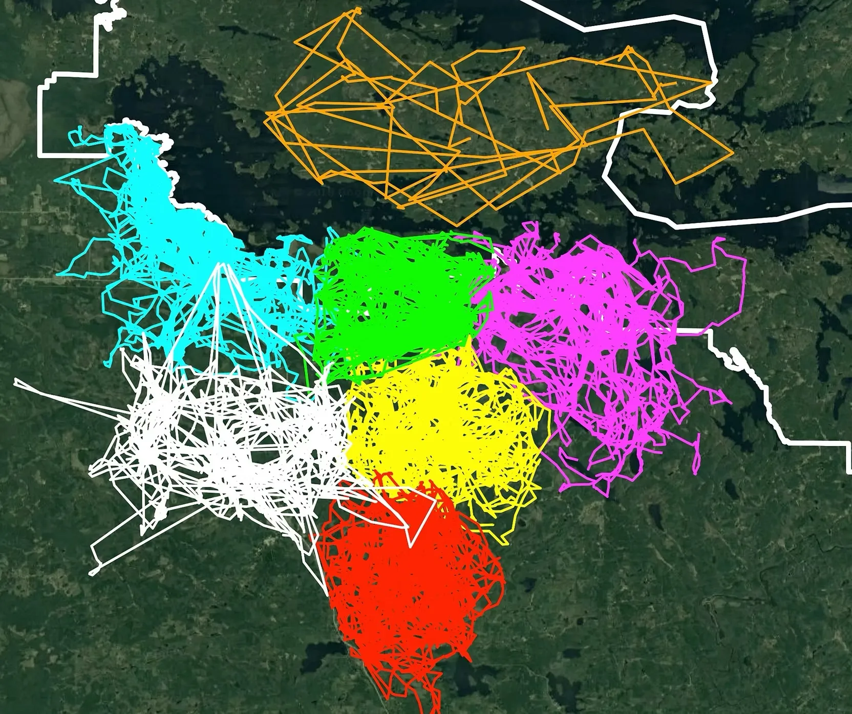 An aerial satellite map of a forested, lake-filled region overlaid with highly dense, scribbled lines representing tracking data of different wolf packs.