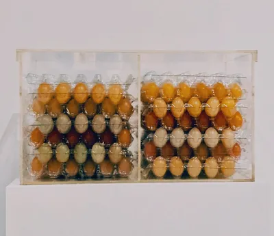 Case of Eggs (with Rainbow Wax Eggs) by Robert Watts