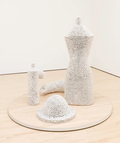 Forminifera by Tony Cragg