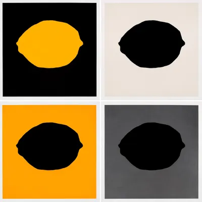 Four Lemons: Black Lemon on White, Yellow Lemon on Black, Black Lemon on Silver, Black Lemon on Yellow by Donald Sultan