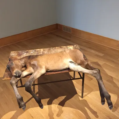 Lost III by Berlinde De Bruyckere