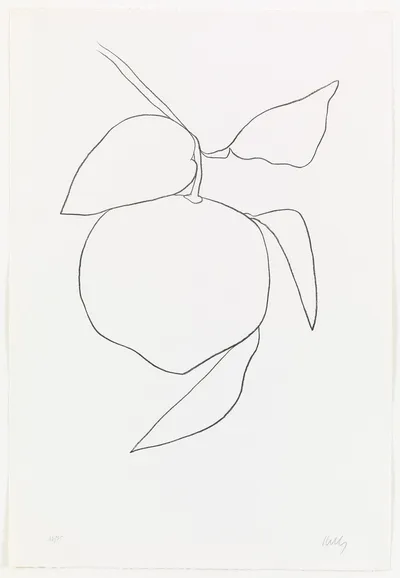 Suite of Plant Lithographs (Part II) by Ellsworth Kelly