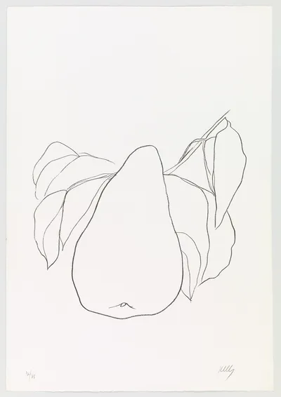 Suite of Plant Lithographs: Pear by Ellsworth Kelly